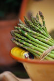 Asparagus in Bowl