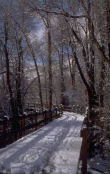 Fenced Road in Snow