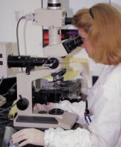 Researcher with Microscope