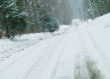 Snowy Forest Road