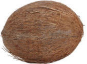 Whole Coconut